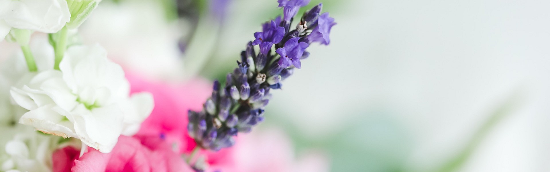 Symbolfoto Neuss | Blumen Bremkens - Hochszeitssträuße - Pflanzen - Trauerfloristik